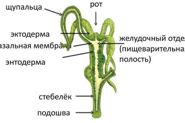 Сколько стоит грамм мефедрона